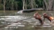 Anaconda | Image Via: Columbia Pictures
